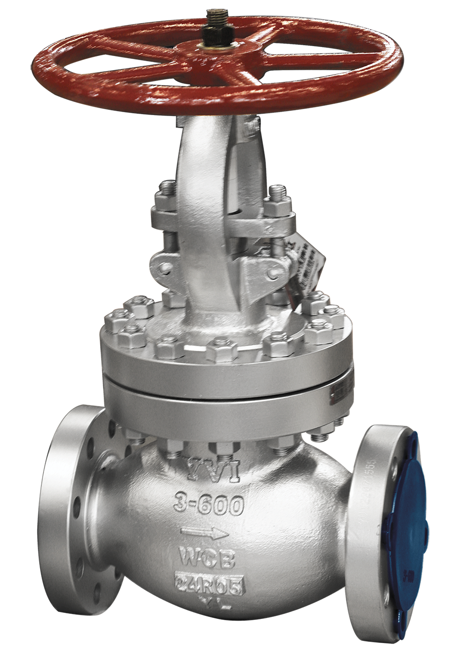 Globe Valve